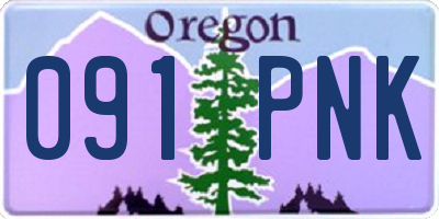 OR license plate 091PNK