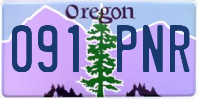 OR license plate 091PNR