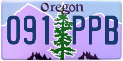 OR license plate 091PPB