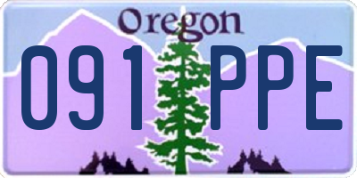 OR license plate 091PPE
