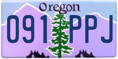 OR license plate 091PPJ