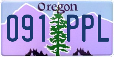 OR license plate 091PPL