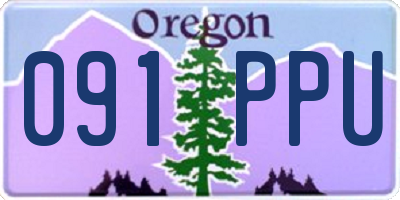 OR license plate 091PPU