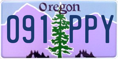 OR license plate 091PPY