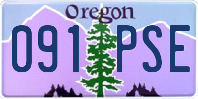 OR license plate 091PSE