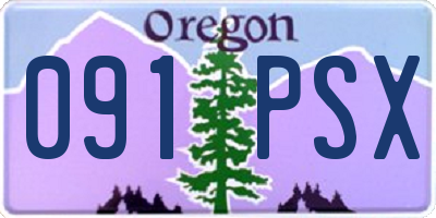 OR license plate 091PSX