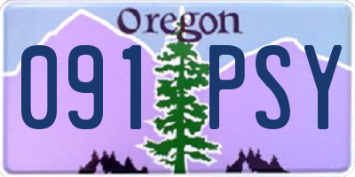 OR license plate 091PSY