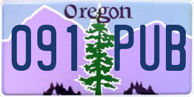 OR license plate 091PUB