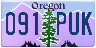 OR license plate 091PUK