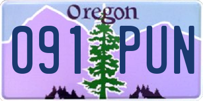 OR license plate 091PUN