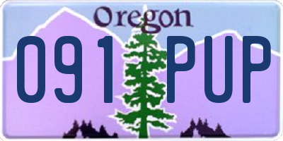 OR license plate 091PUP