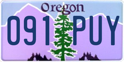 OR license plate 091PUY