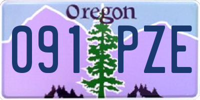 OR license plate 091PZE