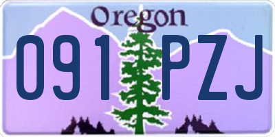OR license plate 091PZJ