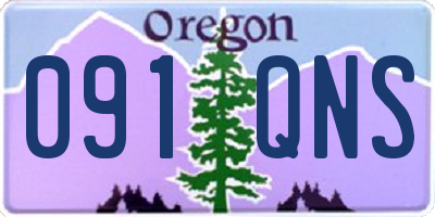 OR license plate 091QNS