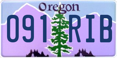 OR license plate 091RIB