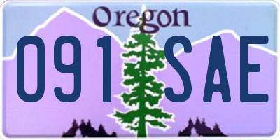 OR license plate 091SAE