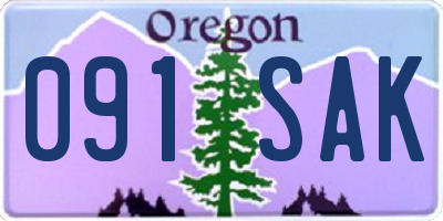 OR license plate 091SAK