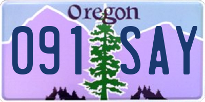 OR license plate 091SAY