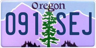 OR license plate 091SEJ