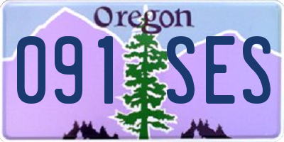 OR license plate 091SES