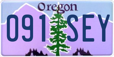 OR license plate 091SEY