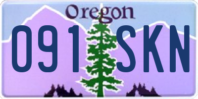 OR license plate 091SKN