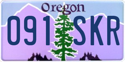 OR license plate 091SKR
