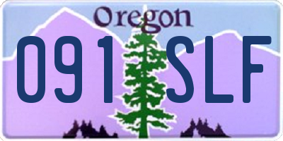 OR license plate 091SLF