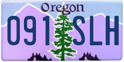 OR license plate 091SLH