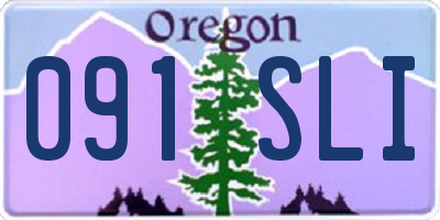 OR license plate 091SLI