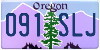 OR license plate 091SLJ