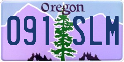OR license plate 091SLM