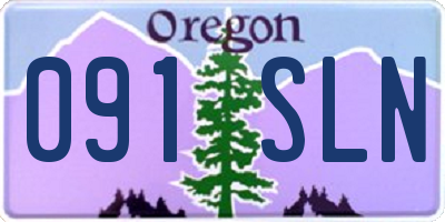 OR license plate 091SLN