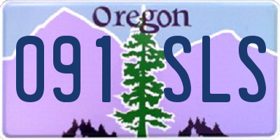 OR license plate 091SLS
