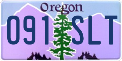 OR license plate 091SLT