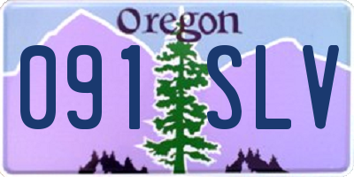 OR license plate 091SLV