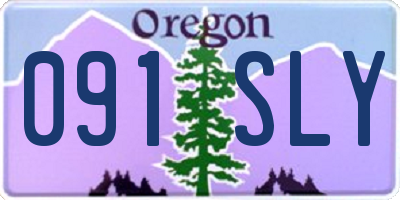 OR license plate 091SLY