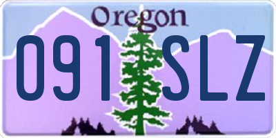 OR license plate 091SLZ