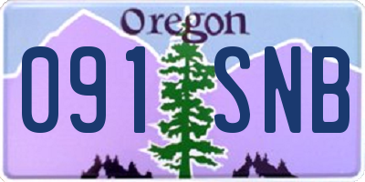 OR license plate 091SNB