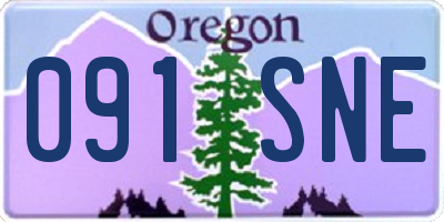 OR license plate 091SNE