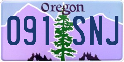 OR license plate 091SNJ