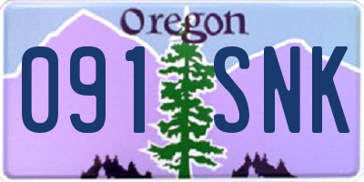 OR license plate 091SNK