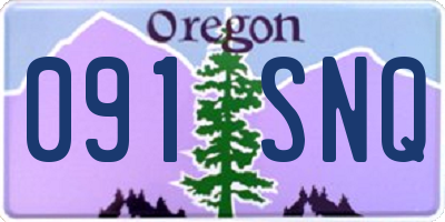 OR license plate 091SNQ