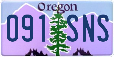 OR license plate 091SNS