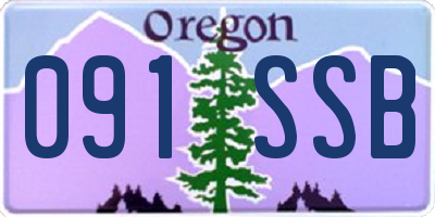 OR license plate 091SSB