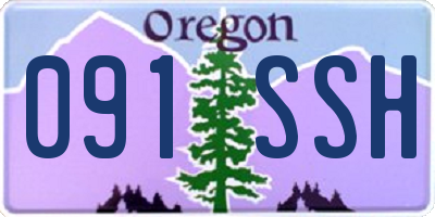 OR license plate 091SSH