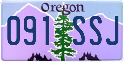 OR license plate 091SSJ