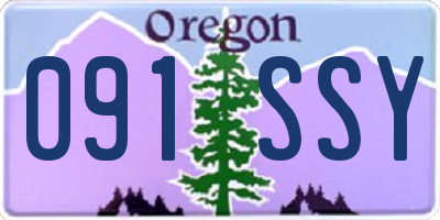 OR license plate 091SSY