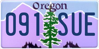 OR license plate 091SUE